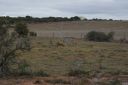 DSC02281.JPG