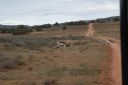 DSC02287.JPG