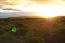 DSC02338.JPG
