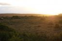 DSC02340.JPG