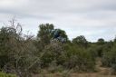 DSC02397.JPG