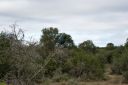 DSC02398.JPG