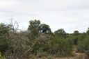 DSC02400.JPG