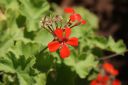 DSC02449.JPG