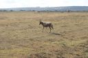 DSC02450.JPG