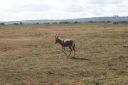 DSC02452.JPG