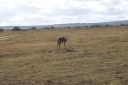 DSC02453.JPG