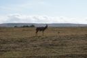 DSC02454.JPG