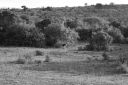 DSC02464.JPG