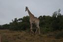 DSC02578.JPG