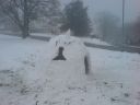 DSC00234.JPG