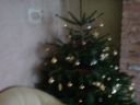 DSC00223.JPG