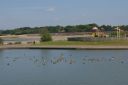IMGP0973.JPG