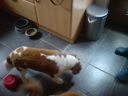 DSC00352.JPG