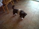 IMG00043-20110522-0847.jpg
