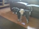 IMG00046-20110522-0848.jpg