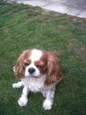 IMG00047-20110608-1032.jpg