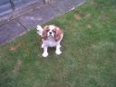 IMG00063-20110608-1037.jpg