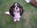 IMG00067-20110608-1038.jpg