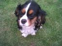 IMG00068-20110608-1038.jpg