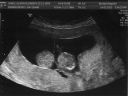 scan2.jpg