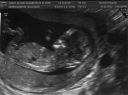 scan3.jpg