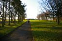 IMGP0352.JPG