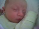 img00123.jpg