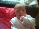 img00141.jpg