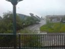 DSC00398.JPG