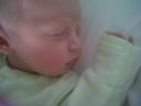 IMG00120-20120529-1434.jpg