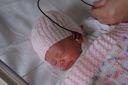 DSC03087.JPG