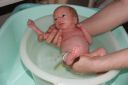 DSC03123.JPG