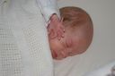 IMGP0673.JPG