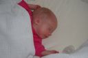 IMGP0674.JPG