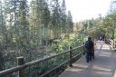 DSC03635.JPG