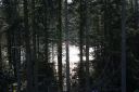 DSC03637.JPG