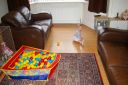 IMGP0722.JPG