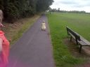 Walsall-20130829-00168.jpg