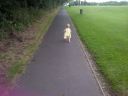 Walsall-20130829-00169.jpg