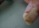 DSC_0146.jpg
