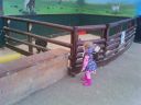 Gail_DSC_0181.jpg