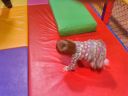 Gail_DSC_0209.jpg