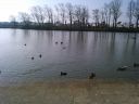 Gail_DSC_0113.jpg