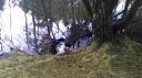 DSC_0324.jpg