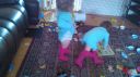 Gail_DSC_0026.jpg