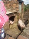 20140515_140653.jpg