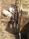 20140515_141006.jpg