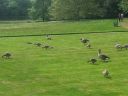20140521_145821.jpg