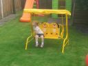 20140611_151529.jpg